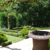 Отель The Moon and Sixpence Garden Guest House, фото 4