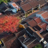 Отель Hoian Royal Villa, фото 38