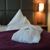 Отель Santé Royale Hotel & Gesundheitsresort Bad Langensalza, фото 17