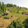 Отель Vineyard Cottage Pavlin 1, фото 19