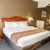 Отель Comfort Suites Auburn, фото 3
