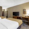 Отель Comfort Inn & Suites, фото 5