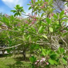 Отель Mancarron-Solentiname, фото 22