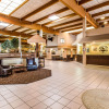 Отель Quality Inn & Suites, фото 27