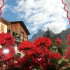 Отель Dolomites Holidays, фото 16