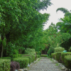 Отель Corbett Machaan Resort, фото 5