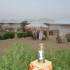 Отель Lakhmana Desert Camp, фото 10