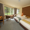 Отель Sierra Resort Hotel Hakuba, фото 33