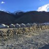 Отель TIH Ladakh Summer Camp Pangong, фото 9