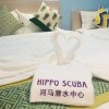 Отель Hippo Scuba Homestay, фото 1