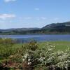 Отель Blarghour Farm Cottages Overlooking Loch Awe, фото 15