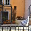 Отель Backyard Of Galata, фото 21