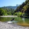 Отель Russian River Camping Resort Studio Cabin 4, фото 6