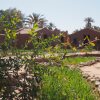 Отель Kasbah Desert Camp, фото 15