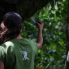 Отель El Abrazo del Arbol - Farm Eco Lodge, фото 21