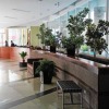 Отель R&R Apartment Suites, фото 12