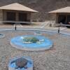 Отель Ras Al Jinz Turtle Reserve, фото 13