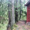 Отель Tiny hut in the Forest Overlooking the River, фото 15