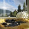 Отель Bed & waffles, Tromsø, фото 15