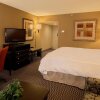 Отель Hampton Inn Asheville I-26 Biltmore Area, фото 5