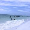 Отель The Anna Maria Island Beach Castaway 1, фото 16