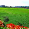 Отель Allgäu Garni, фото 17