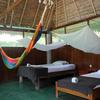 Отель Tambopata Ecolodge, фото 12