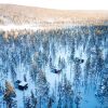 Отель Arctic Skylight Lodge, фото 1