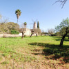 Отель Authentic Rustic Finca With Private Pool Centrally Located, фото 12