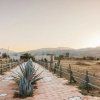 Отель los Amantes Valle de Guadalupe, фото 19