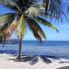 Отель Coco's Beachfront Cabanas, фото 14