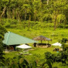 Отель Camping In Remote Coorg, фото 4