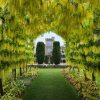 Отель Larnach Castle, фото 2