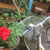 Отель Jardin Du Mekong Homestay, фото 35