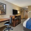Отель Comfort Inn Shady Grove - Gaithersburg - Rockville, фото 6
