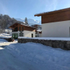 Отель Cottage in Bakuriani, фото 11