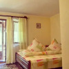 Отель Pensiunea La Muncel, фото 6