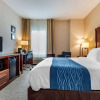 Отель Comfort Inn Apalachin / Binghamton W Route 17, фото 6