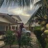 Отель Paloma Guest House & Restaurant, фото 16