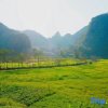 Отель Guangnan Yiran Homeland, фото 5