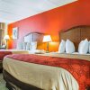 Отель Econo Lodge Inn & Suites, фото 35