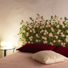 Отель Orvieto Aroma Rooms 1, фото 28