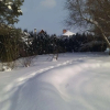 Отель Guest House Pechersky  Sons в Дрейлини