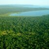 Отель Rubondo Island Camp, фото 15