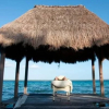 Отель Villas Eco-Romanticas Kuuch Ka´Anil, фото 4