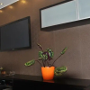 Отель Apartament Orange Dream, фото 10