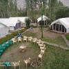 Отель Lumbini Camp- Nubra Valley, фото 19