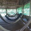 Отель lupuna jungle tours and expeditions, фото 21