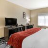 Отель Quality Inn & Suites, фото 36