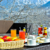 Отель The Chinar Resort & Spa, Pahalgam, фото 5
